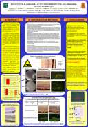 INFLUENCE OF PLASMINOGEN ACTIVATOR INHIBITOR TYPE 1 (PAI-1) ON CHOROIDAL NEOVASCULARIZATION