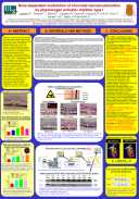 Dose-dependent modulation of choroidal neovascularization by plasminogen activator inhibitor type I (PAI-1)